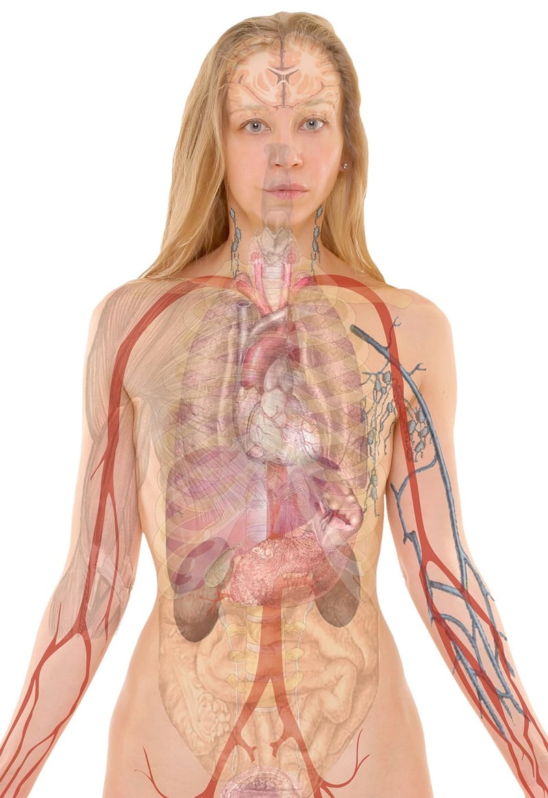 Body-Mind Connection
